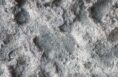 disinfestazione-derattizzazione-disinfezione
