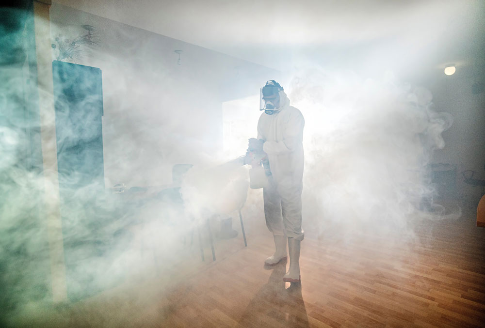 eliminazione-topi-veloce